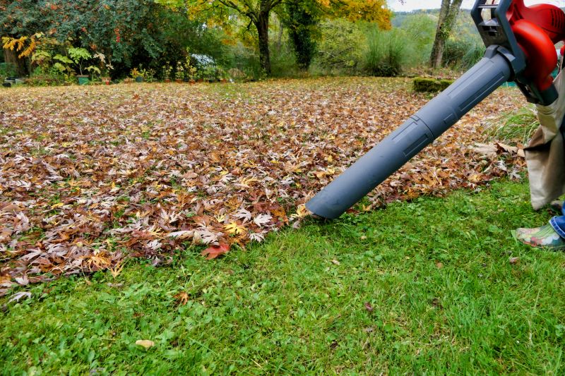 Using Leaf Vacuums