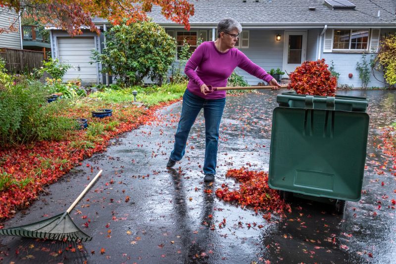 Gathering Fall Debris
