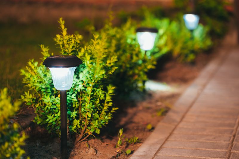 Landscape Lighting Installation in Denver County, CO