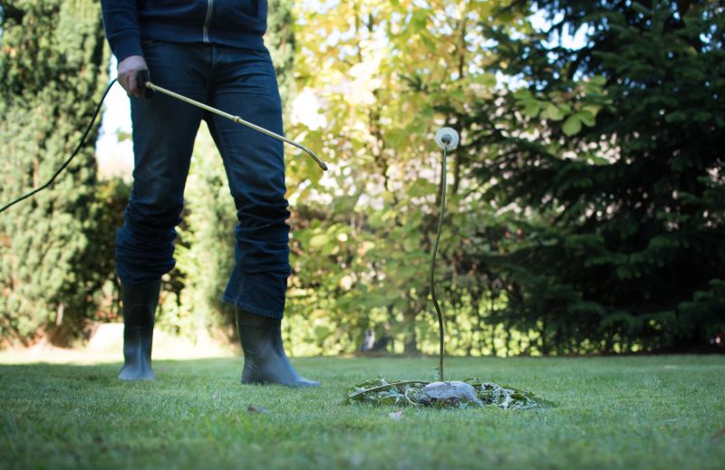 Lawn Weed Treatment Service