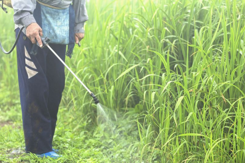 Products For Weed Controls in use