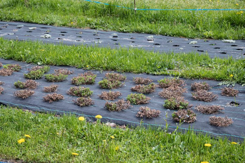Landscape Weed Barriers
