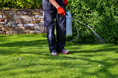 Professional Weed Spraying Service